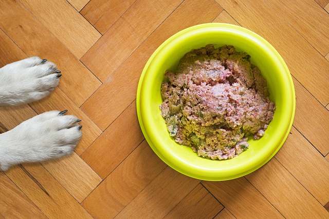 dog-food-gc26065fa1_640